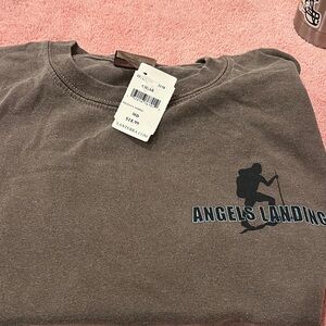 Brown Angels Landing Graphic T-Shirt